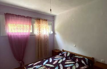 Σπίτι στα Έλατα - Foto 52