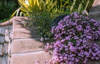 Tonarino Iseo - Foto 19