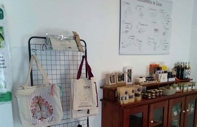 Paseo en barco por la isla de Combú - Foto 7