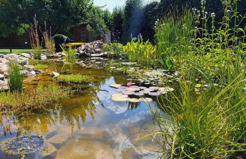 Tuscan Villa exclusive use of private pool A/C Wifi Villa Briciola - Foto 34