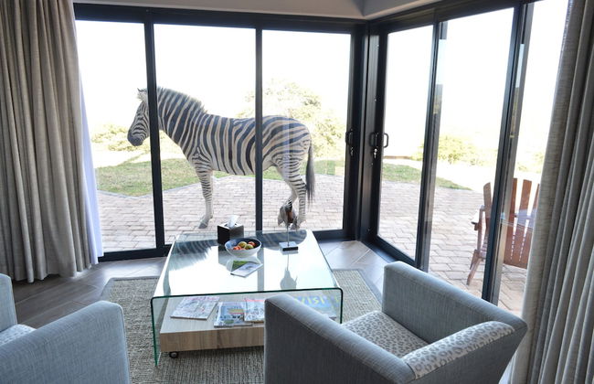 JBay Zebra Lodge - Photo 28