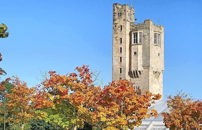 Berwick-upon-tweed - Caravan - Sleeps 6 - Parking - Foto 21