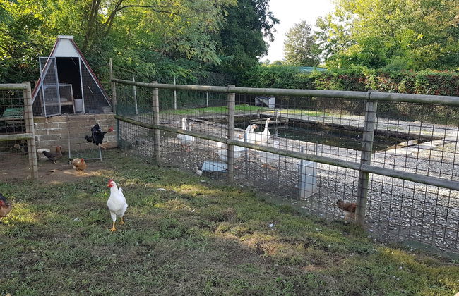 Ca' Amedeo - Foto 21