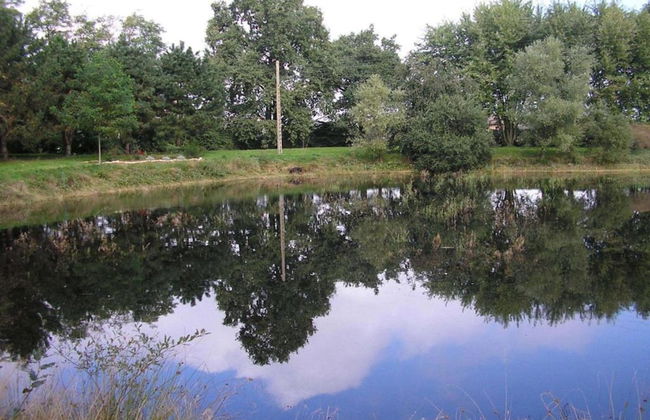 Charming Holiday Home in Gargas With Swimming Pool - Photo 31