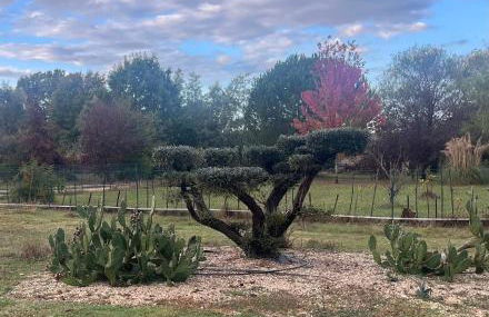 Maison moderne au calme avec billard, jacuzzi, bain à remous, piscine, Babyfoot - Foto 6