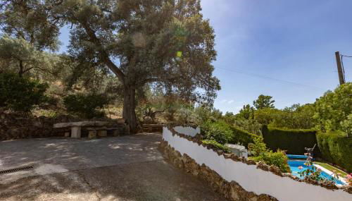 Cortijo el Chaparro - Foto 3, Garden view