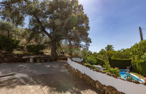 Cortijo el Chaparro - Foto 3