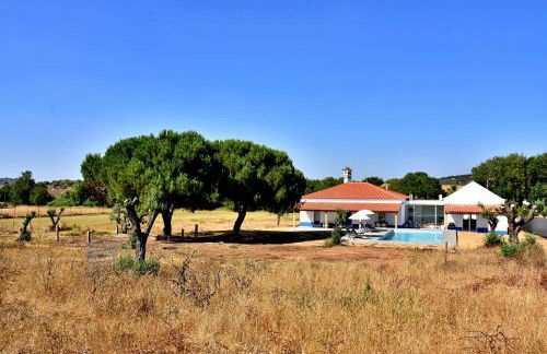 Monte Casa Branca - Foto 15