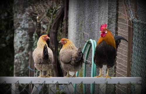 Casa do Vale - Foto 39