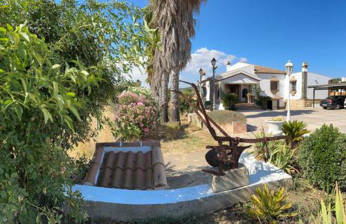 La chumbera - Foto 25