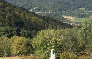 Ferienland Sonnenwald Fewo 46 - Foto 10