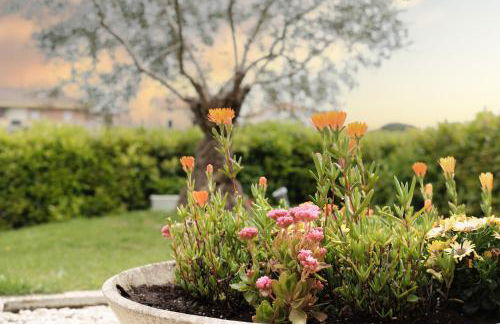 La Coccinella - Foto 12