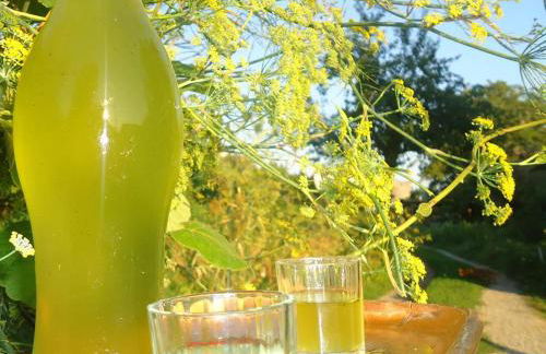 Agriturismo Zì Carmine - Foto 9