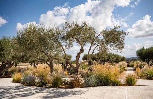 Stella Cadente - Awaken to 5star Luxury by etouri - Foto 71