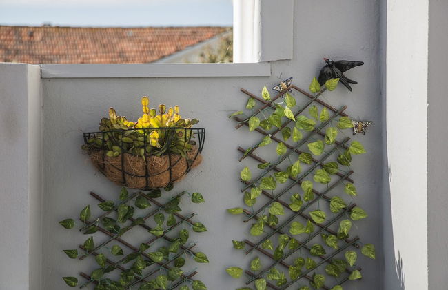 Apartamento A Francos Balcony - Foto 12