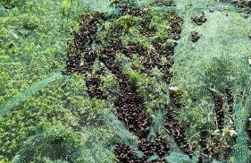 Corte degli Ulivi - Foto 60