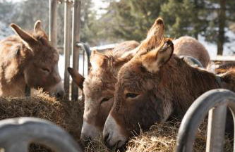 Agriturismo La Daga - Foto 50
