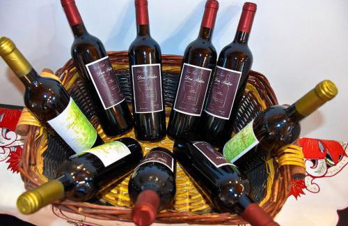 Chalet Las Viñas 2 - Foto 18