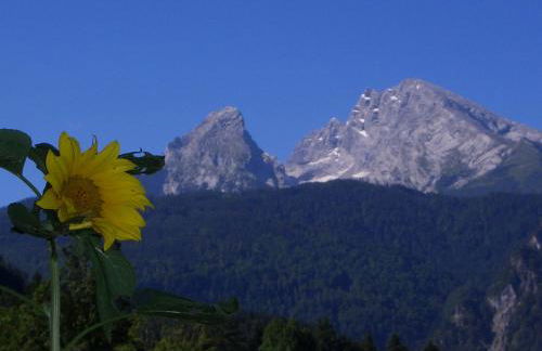 Ferienwohnungen Ingrid Schillmeier - Foto 19