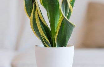 Casa Dorotea Attico Panoramico centro storico - Foto 10