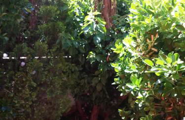 Lydia´s House - Foto 24