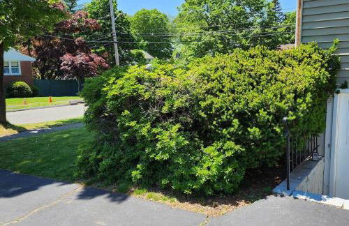 Beautiful & Cozy one Bedroom Apartment near Boston & Airport - Foto 15