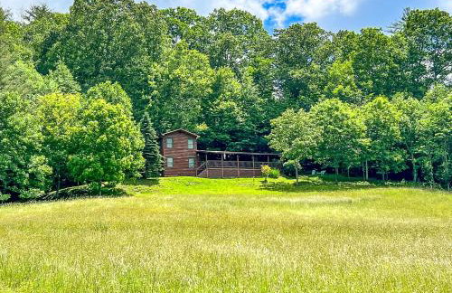 Bear Necessities - Photo 13