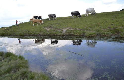 Apartment CANUS - Krumas Living - Kronplatz - Photo 34