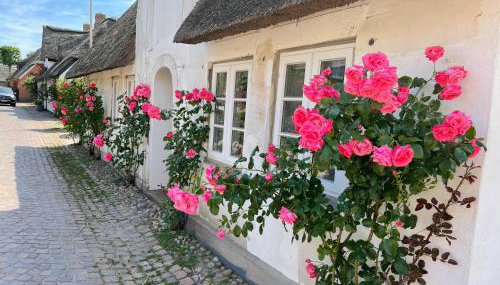 Kapitänshaus von 1712 - neu saniert - Foto 2