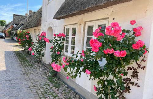 Kapitänshaus von 1712 - neu saniert - Foto 2