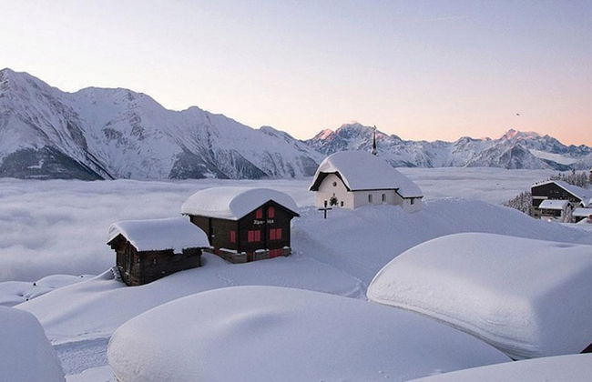 Tio Pepe OG - Foto 16