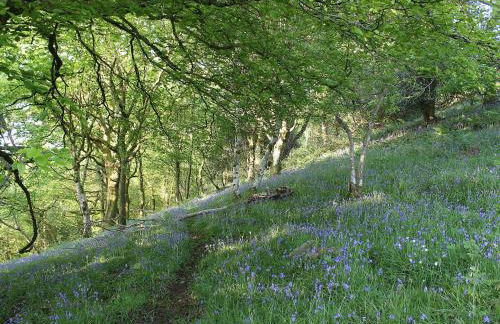 Kite Cottage - Photo 11