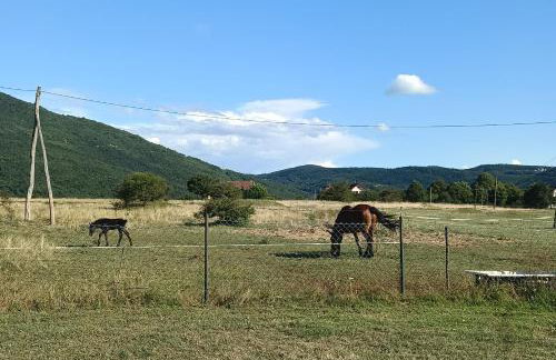 Holiday Home Sinac 2 - Foto 41