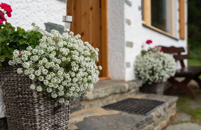 Alpine Hut in Eberstein Near Ski Area - Foto 29