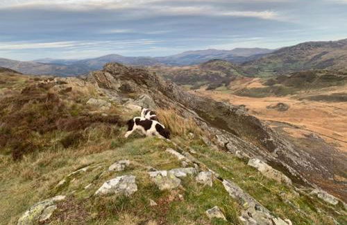 Charming cottage in Snowdonia - Foto 58