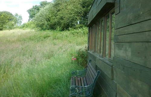 Stags View,Unique eco cabin, Dartmoor views - Foto 32