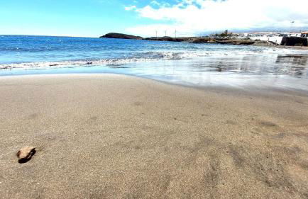 Mucha Vida - Foto 19