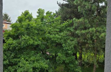 Apartamenty KORONA - Foto 26