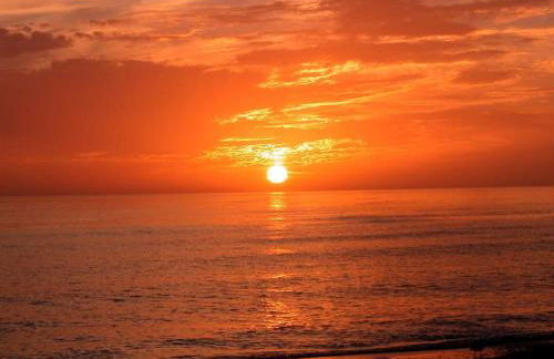 Beautiful Home - Oasis Backyard with Heat Pool - Foto 39