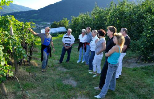Häuslerhof - Photo 45
