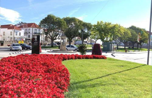 Anjú-Pardal - Foto 70