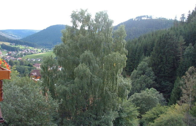 Oberrain in het "vakantiehuis Schenk" - Foto 15