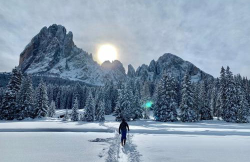 Dolomites Chalet Niuasi - Photo 66