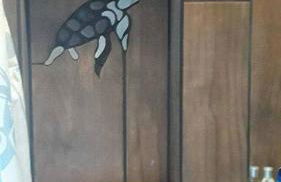 Volcano Home as seen on the Discovery Channel - Foto 28