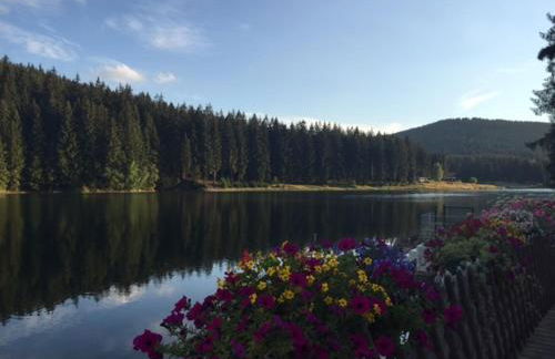 Holidayhaus Lütsche - Photo 18