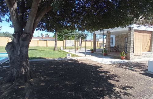 Casa Rural El Algarrobo - Foto 6