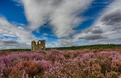 Experience the Peace & Quiet in the North York Moors at Rawcliffe House Farm - Foto 74