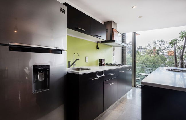 Destination Condesa @Tamaulipas Loft - Foto 5