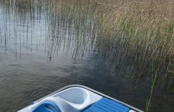 Miętowy Domek Trzebawie - Foto 33