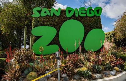 Canyon View - Foto 18